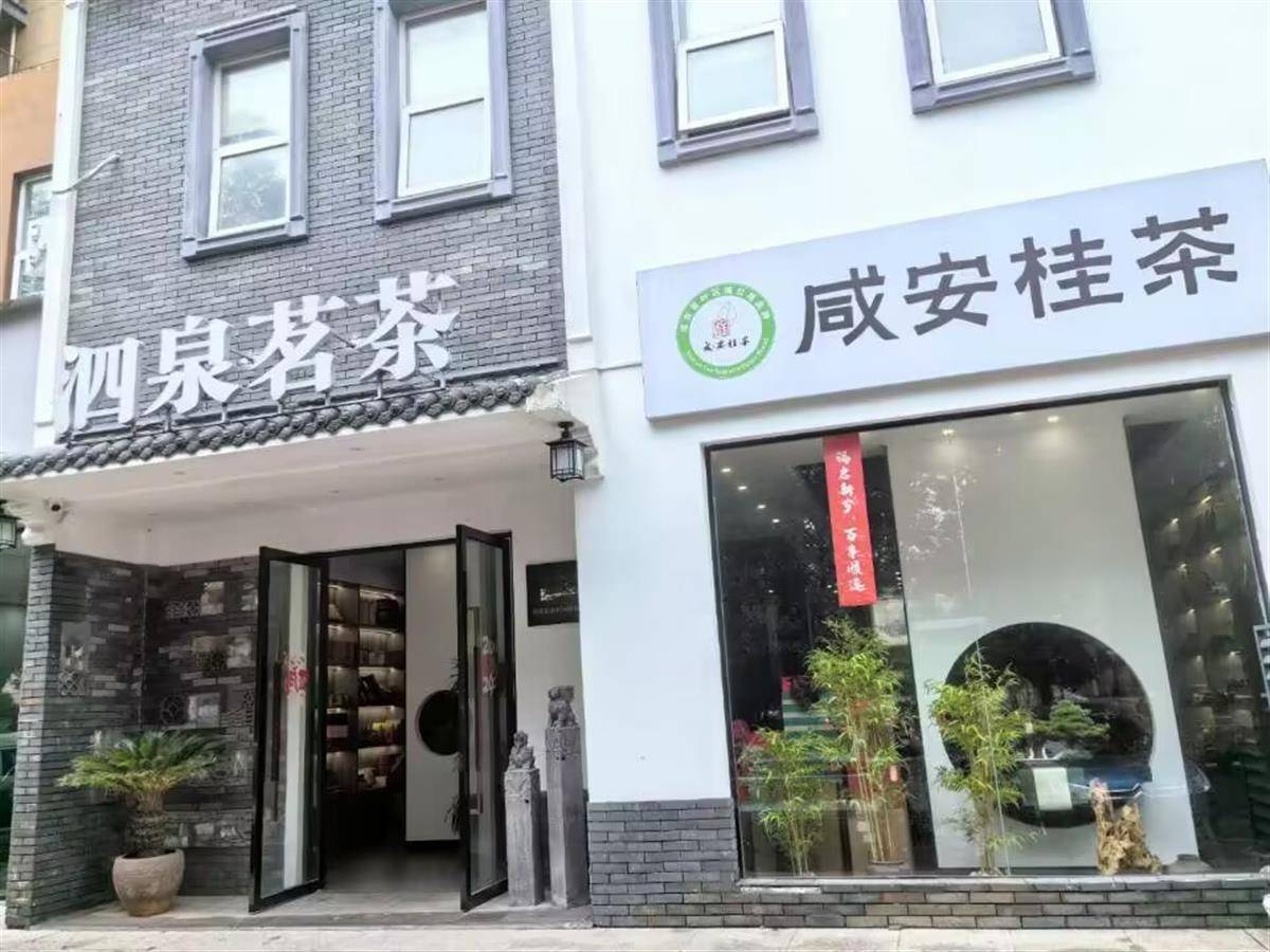 湖北咸安：花香茶香溢桂乡(图1)