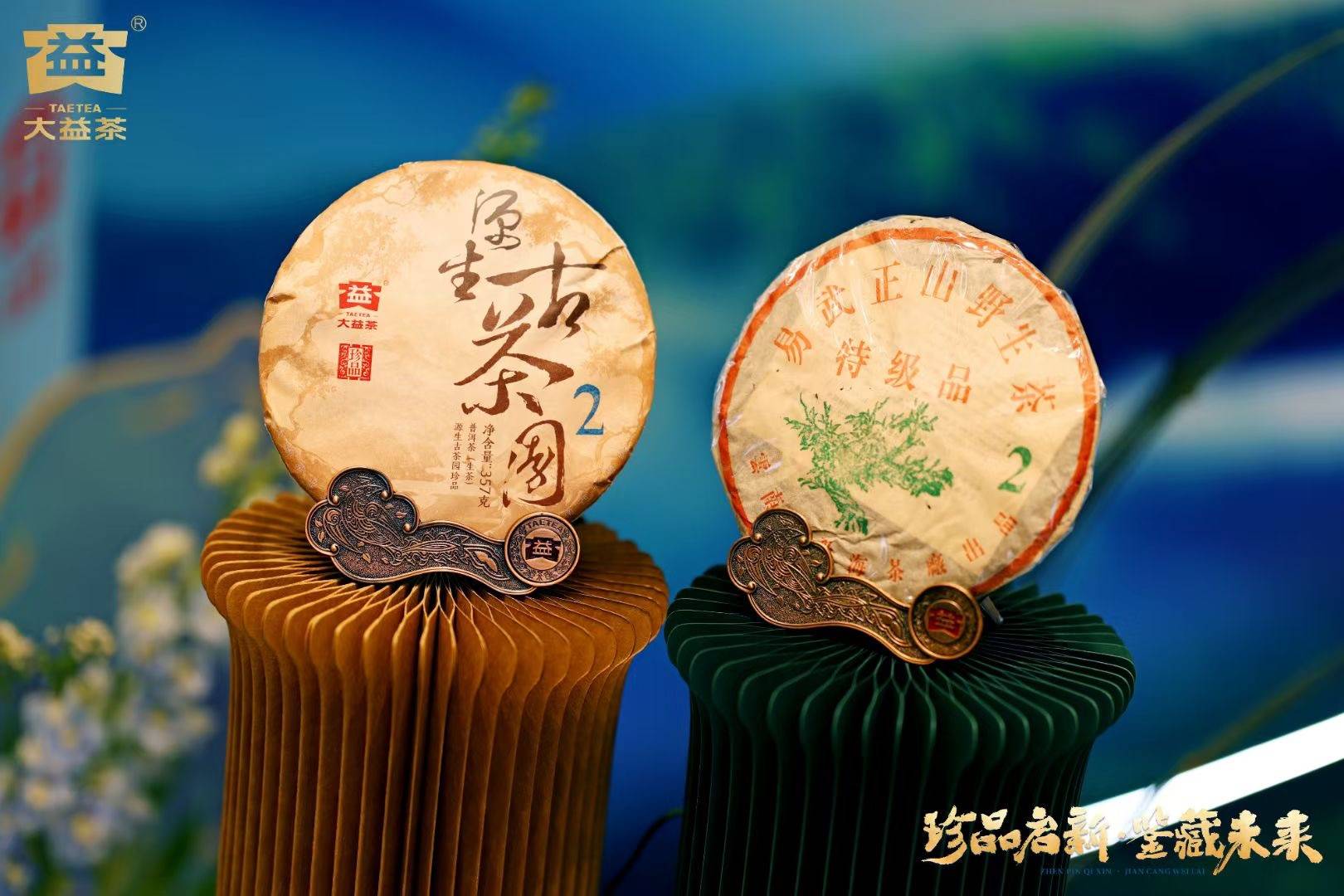 珍品启新鉴藏未来大益茶新品发布会在广州举行(图2)