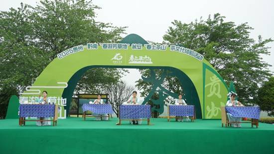邂逅春日茶山 贵州邀您共赏茶韵之美(图4)