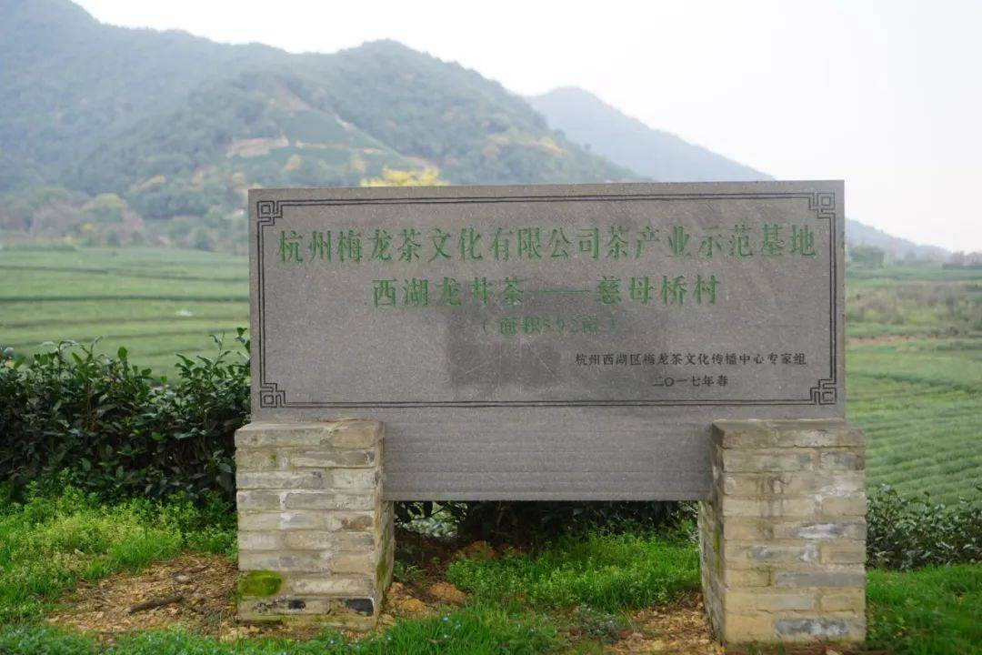 jbo竞博APP寻找茶叶“价值”(图9)