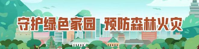 jbo竞博下载以茶为媒以茶会友普陀邀您来品茶(图2)