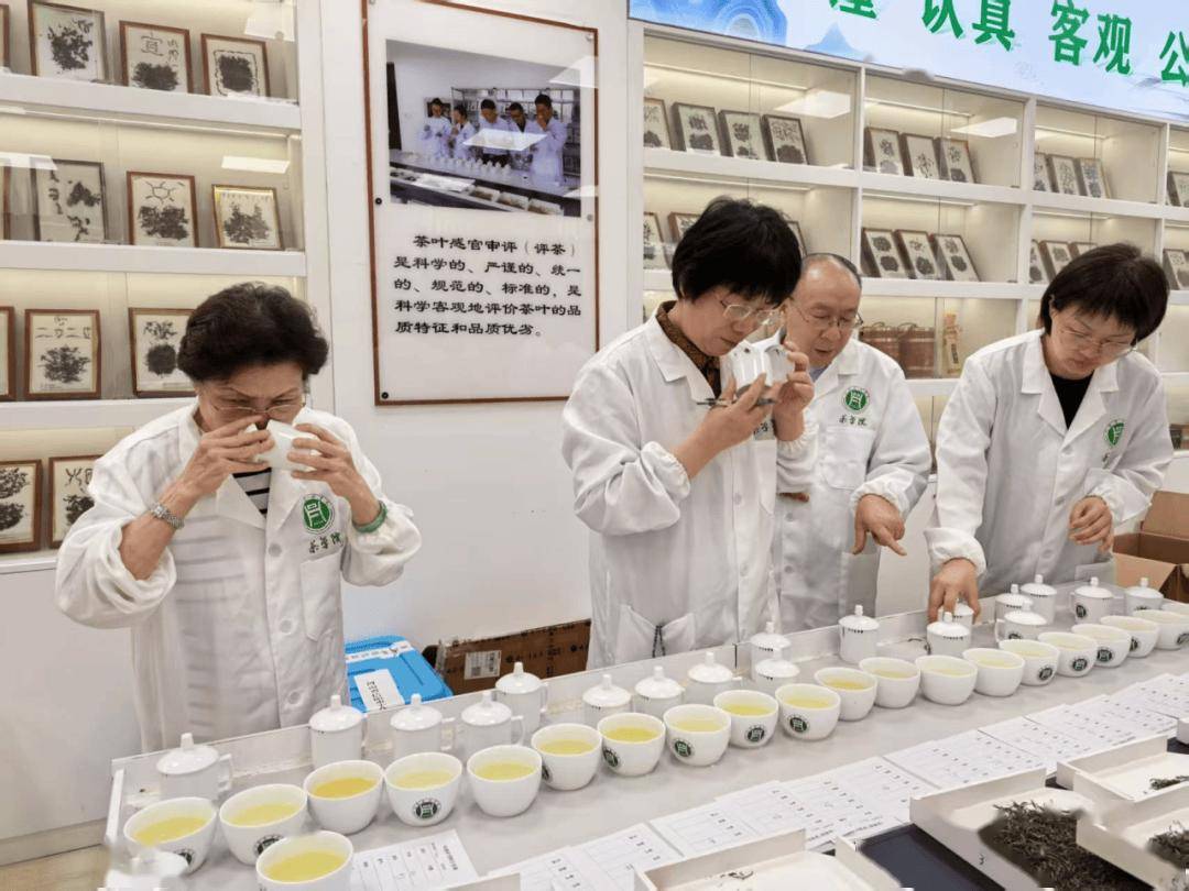共鉴茶叶精品 共筑品质标杆“华茗杯”2025茶产品与包装调查圆满收官(图1)
