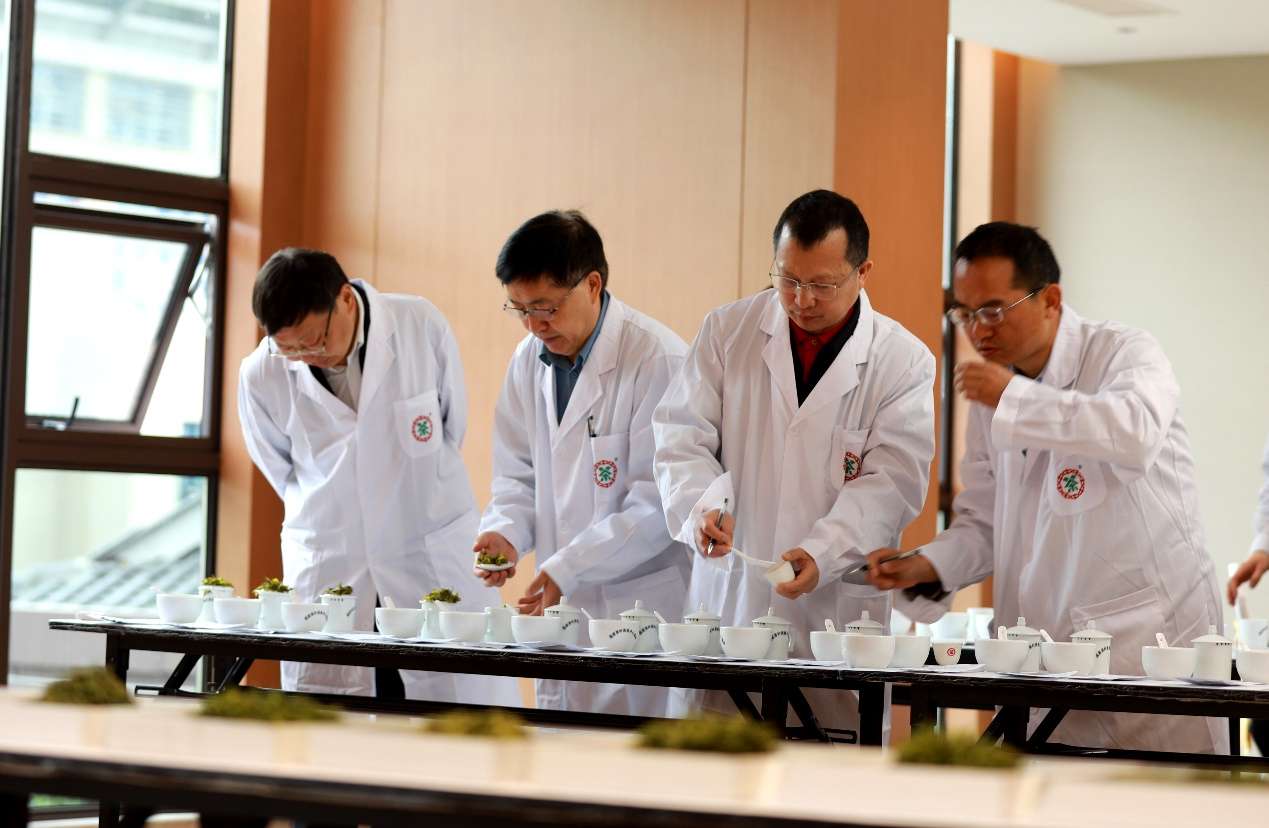湖北咸丰：青青小茶叶成了富民jbo竞博APP大产业(图3)